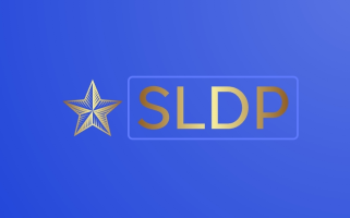 Process Server Initial Certification in Texas - Includes free process serving related eBook